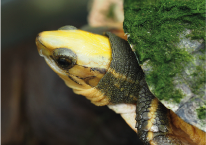 Gemeinschaft und Engagement